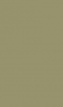 DTDL U640 ST9 Olivově zelená 2800/2070/18