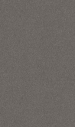 DTDL F635 ST76 Plátno antracitové 2800/2070/18