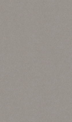 DTDL F634 ST76 Plátno šedé 2800/2070/18