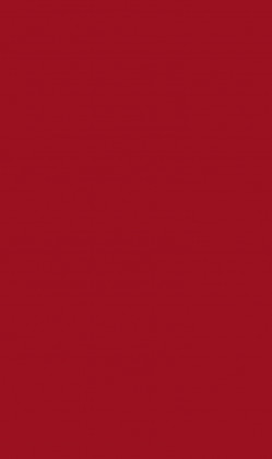 DTDL U323 ST9 Chilli červená 2800/2070/18