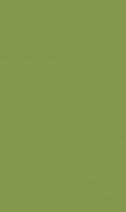 DTDL U626 ST9 Kiwi zelená 2800/2070/18