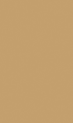 DTDL F527 ST20 Kov kartáčovaný zlatý 2800/2070/18