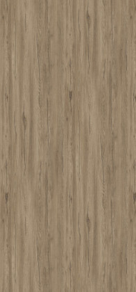 TL K544 Stříbrný dub Hazel 4,2 m