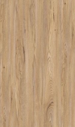 DTDL R34033 NW Asan horský 2800/2100/18