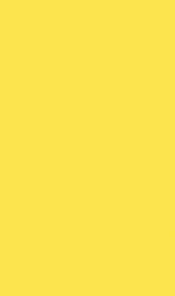 DTDL U131 ST9 Citrusově žlutá 2800/2070/18