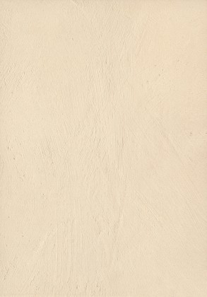 ABSB F385 ST10 Hrubá omítka 43/1,5