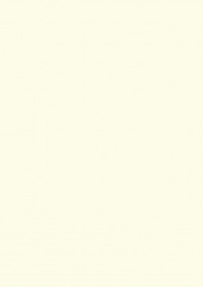 DVEŘNÍ PLÁŠŤ MDF HD W980 ST7 2780/2050/3