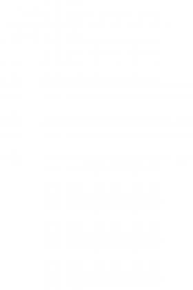 DTDL 8685 PD Sněhově bílá 2800/2070/16