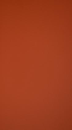 DTL FENIX 0789 NTM "Bloom" Rosso Namib 2str. 3050/1300/19