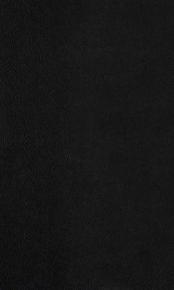 DTDL U129 PF/PF PRIMOFIORE 2800/2070/18,5