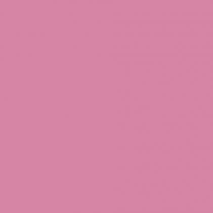 DTDL U17014 SD Hortenzie 2800/2100/18