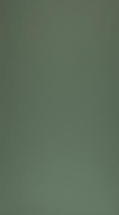 KD-IN FENIX 0773 NTM Verde Brac CC 3050/1300/12