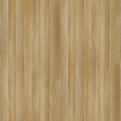 DTDL R20119 NW Dub americký 2800/2100/18