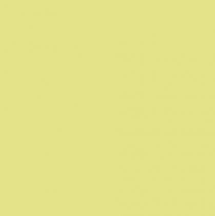 DTDL U19505 SD Citrón 2800/2100/18