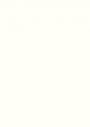 DVEŘNÍ PLÁŠŤ W1100 ST22 2800/2050/3