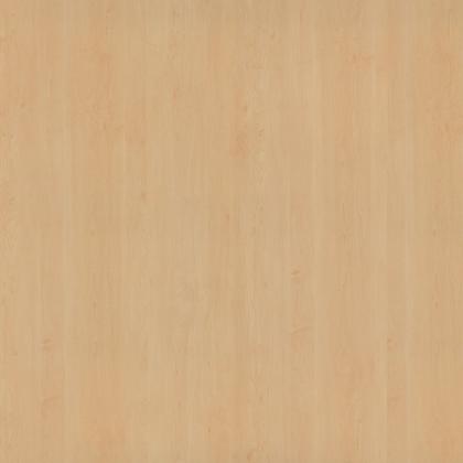 DTDL R27024 VV Javor horský 2800/2100/18