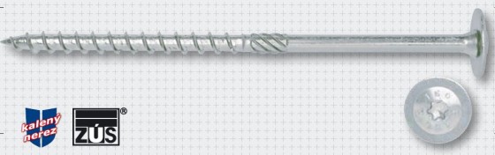 TK-RAPI-TEC SK 8x100mm PH TX40 nerez