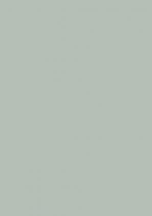 DVEŘNÍ PLÁŠŤ U763 ST9 2790/2050/3