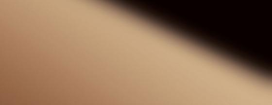 SIBU DM Rosegold AR  2600x1000x1mm NA