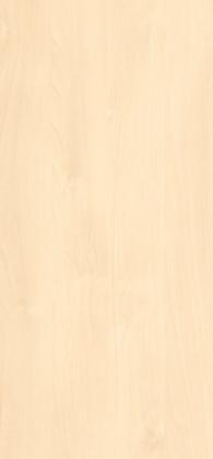 LAM H1733 ST9 Bříza Mainau 2800/1310/0,8