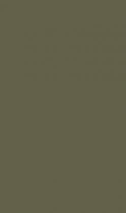 DTDL U645 ST9 Agávově zelená 2800/2070/18