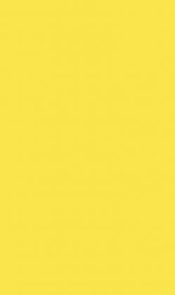 DTDL U131 ST9 Citrusově žlutá 2800/2070/18