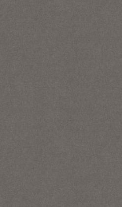 DTDL F635 ST76 Plátno antracitové 2800/2070/18