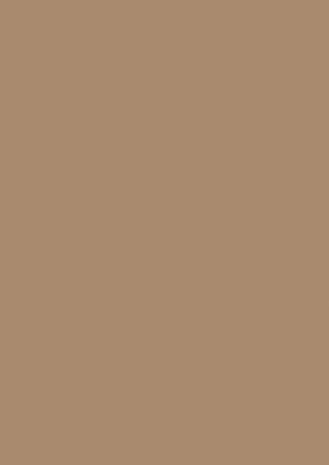 LAM PerfectSense Premium U250 PM Karamelově béžová 2800/1310/0,8