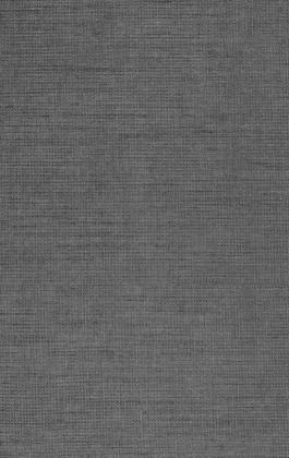 DTDL FD48 AP/AP ALPACA 2800/2070/18,1