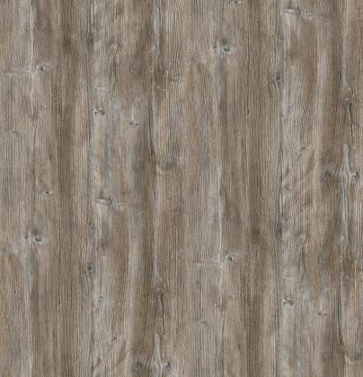 DTDL R55004 DU Pinie Ponderosa 2800/2100/18