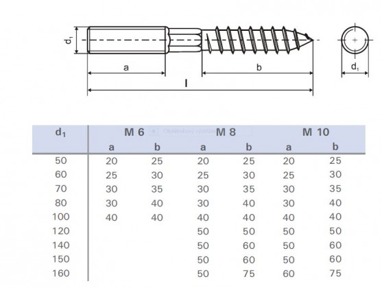 Kombinovaný šroub s 6H M8x50 zinek bílý T25