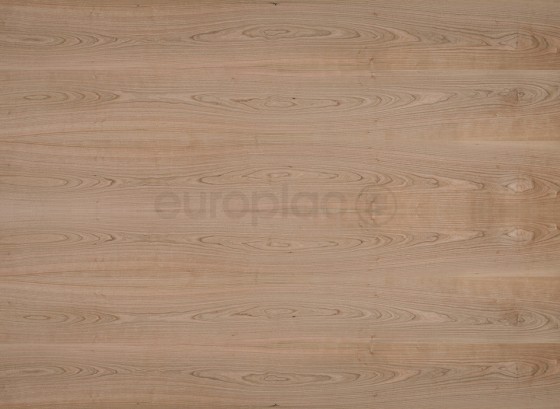 DTDD Třešeň americká Classic A/B 2800/2070/19