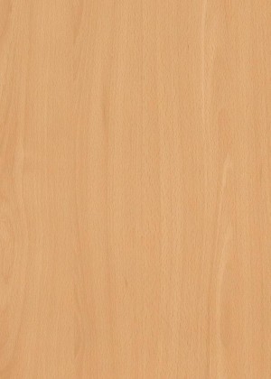 DVEŘNÍ PLÁŠŤ H1582 ST15 2005/870/3