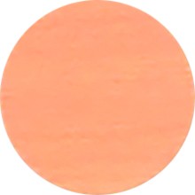 IF Krytka nalepovací 13mm 20ks 727 javor klen