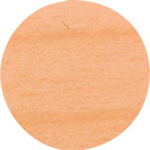 IF Krytka nalepovací 20mm 15ks 168 jasan