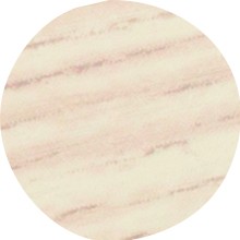 IF Krytka nalepovací 13mm 20ks 4819 světlý dub bílý