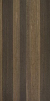 DTDD Dub Havana  typ drásání B1 A/A 2500/1240/19