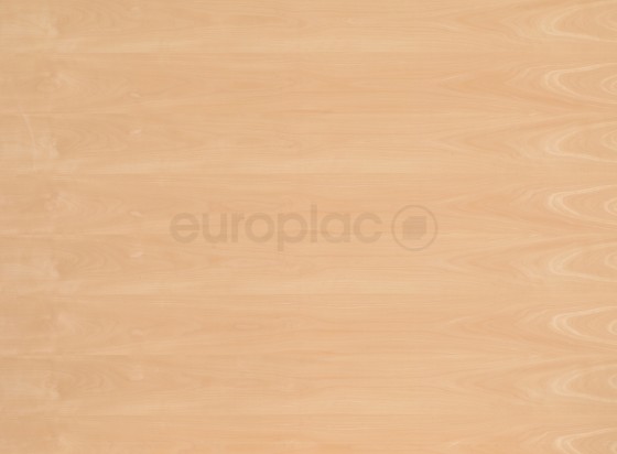 LATD Buk parený radiál A/A 2100/900/39