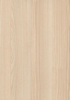 DVEŘNÍ PLÁŠŤ H1298 ST22 2005/870/3