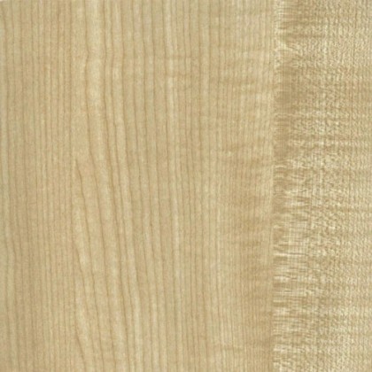 DTDL 375 PR Javor 2800/2070/12