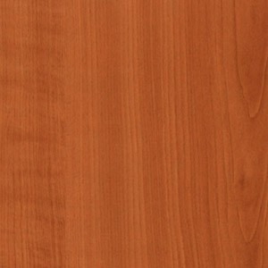 DTDL 344 PR Třešeň 2800/2070/25