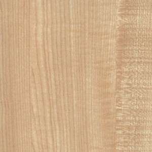 DTDL 375 PR Javor 2800/2070/16