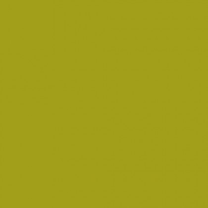 DTL U15110 HG (U110) Zelená Iguana 2800/2070/18,6