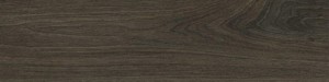 ABSB H1387 ST10 Dub Denver grafitový 23/2