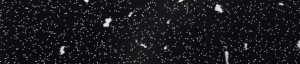 ABSB 1347W/OHNE Černá Andromeda K218 GG LESK 43/1