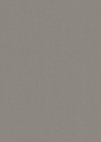 DTDL F501 ST2 Hliník kartáčovaný 2800/2070/25