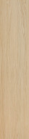Astrata Ivory Oak 4S - dýhovaná lamela - lak 3040/65/31 - 4 ks v balení