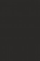 DTDL 166 BS Čedičově hnědá 2800/2070/12