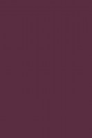 DTDL K515 SU Červené koření 2800/2070/28