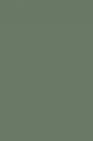 DTDL K521 SU Kouřově zelená 2800/2070/8